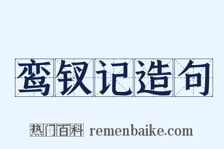 鸾钗记造句是什么意思的图片